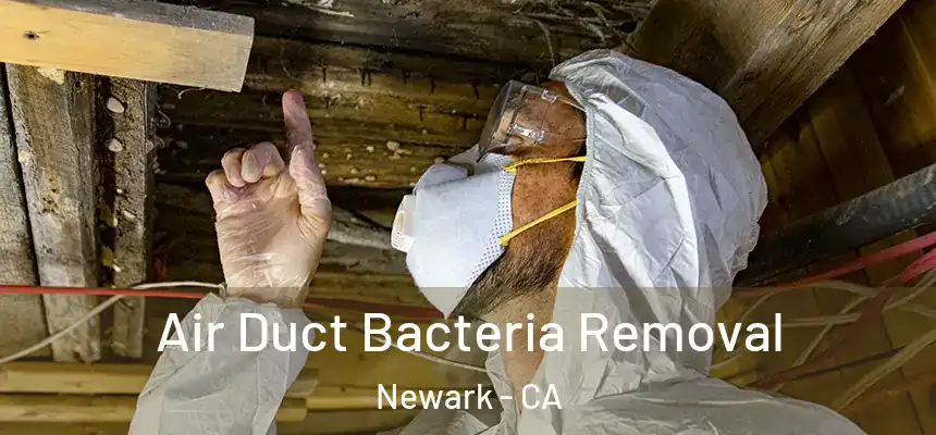  Air Duct Bacteria Removal Newark - CA