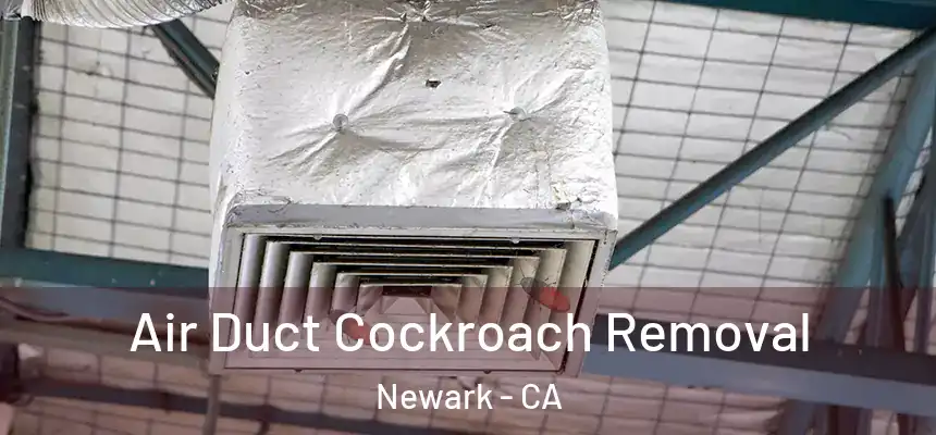 Air Duct Cockroach Removal Newark - CA