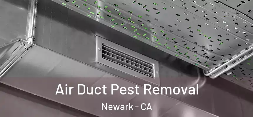 Air Duct Pest Removal Newark - CA