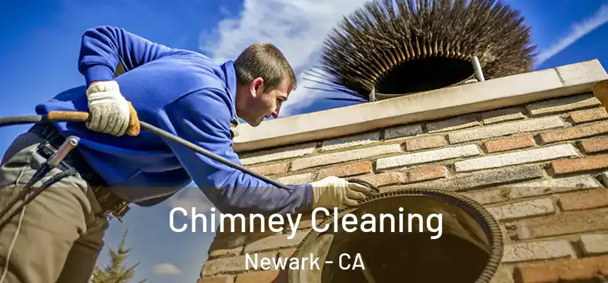 Chimney Cleaning Newark - CA
