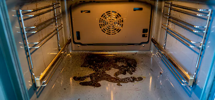 Our Dryer Vent Mold Cleaning Services in Newark, CA