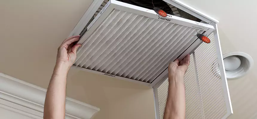 Our Insect Removal from Air Ducts Services in Newark, CA