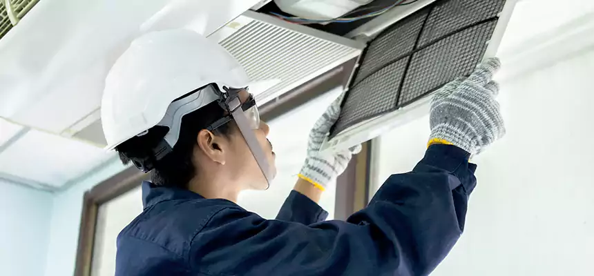 Our Mold & Mildew Removal from Air Ducts Services in Newark, CA