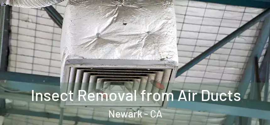 Insect Removal from Air Ducts Newark - CA