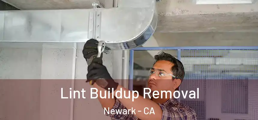  Lint Buildup Removal Newark - CA
