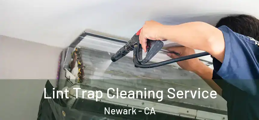 Lint Trap Cleaning Service Newark - CA