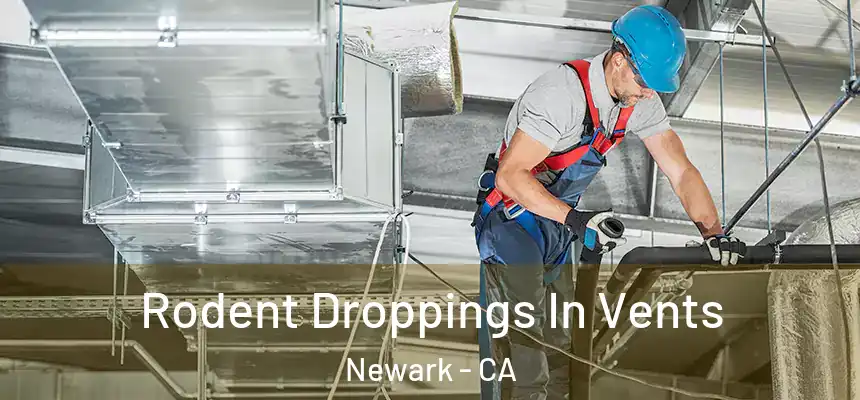 Rodent Droppings In Vents Newark - CA