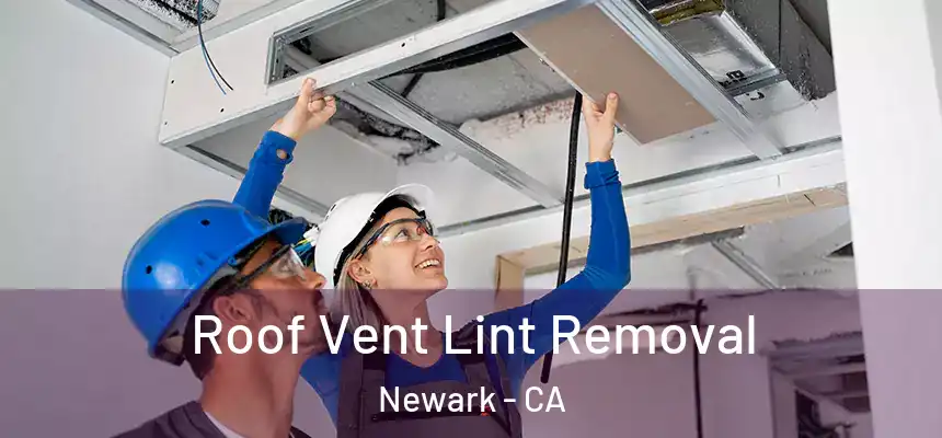 Roof Vent Lint Removal Newark - CA