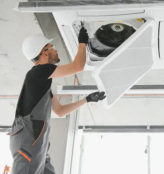 About Air Duct Rodent Removal in Newark, CA