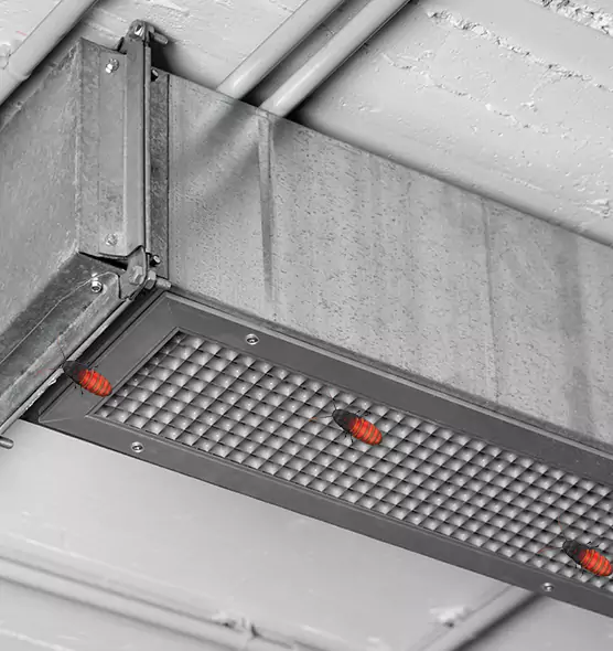 Affordable Insect Removal from Air Ducts in Newark, CA