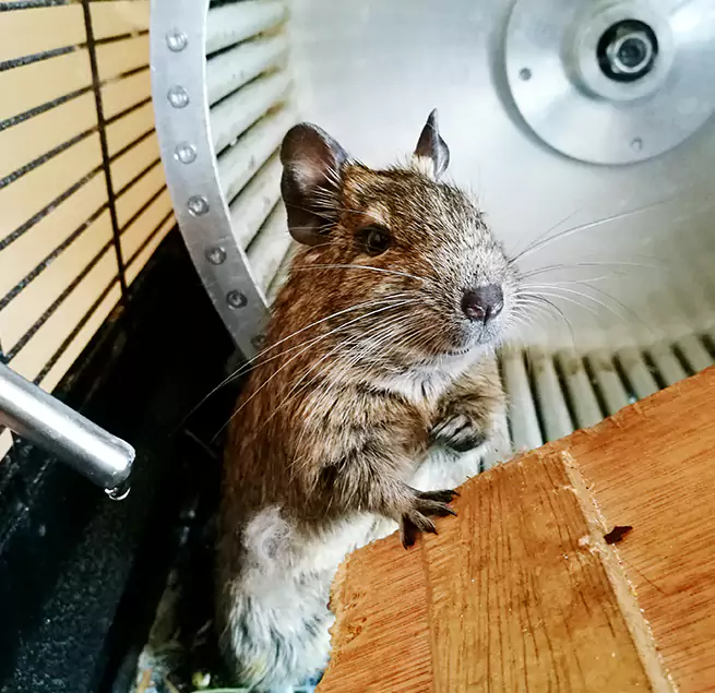 Why Homeowners & Businesses Trust Us Newark, CA