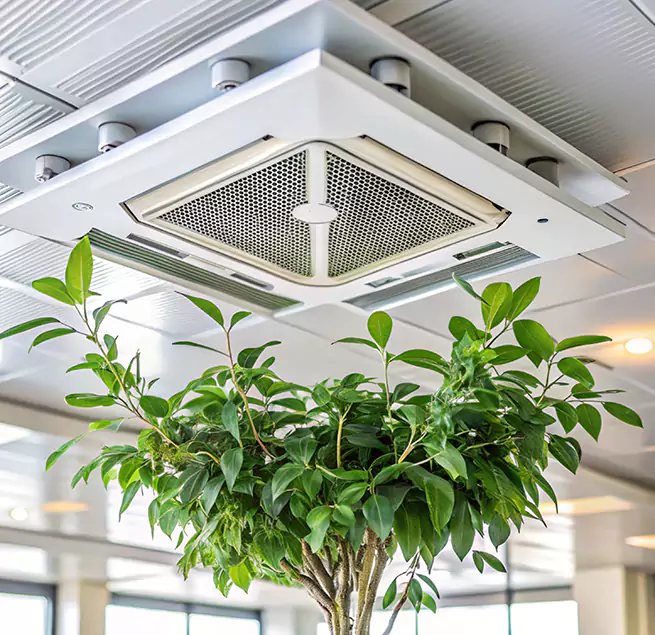 Why Homeowners & Businesses Trust Us in Newark, CA?