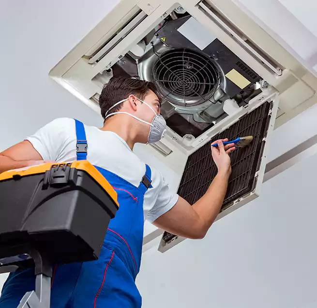 Why Homeowners & Businesses Trust Us in Newark, CA?