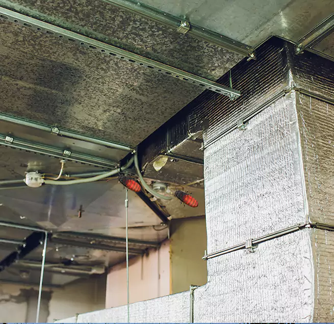 Why Homeowners & Businesses Trust Us Newark, CA?