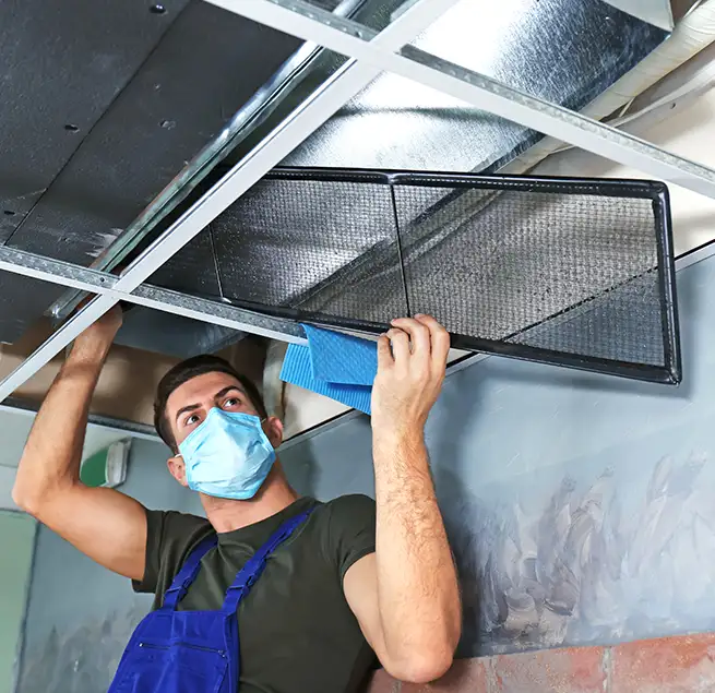 Why Homeowners & Businesses Trust Us in Newark, CA?