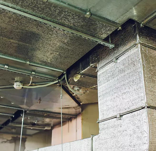 Why Homeowners & Businesses Trust Us in Newark, CA?